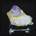 specimen video