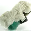 Fluorite, Tourmaline, Albite - image 5