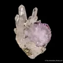 Fluorite (twinned) on Quartz - image 4