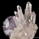 Fluorite (twinned) on Quartz - image 1
