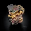 Fluorite w/ Rhodochrosite, Silver & Chalcopyrite - image 2