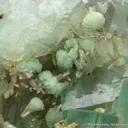 Fluorite with Adamite - image 5