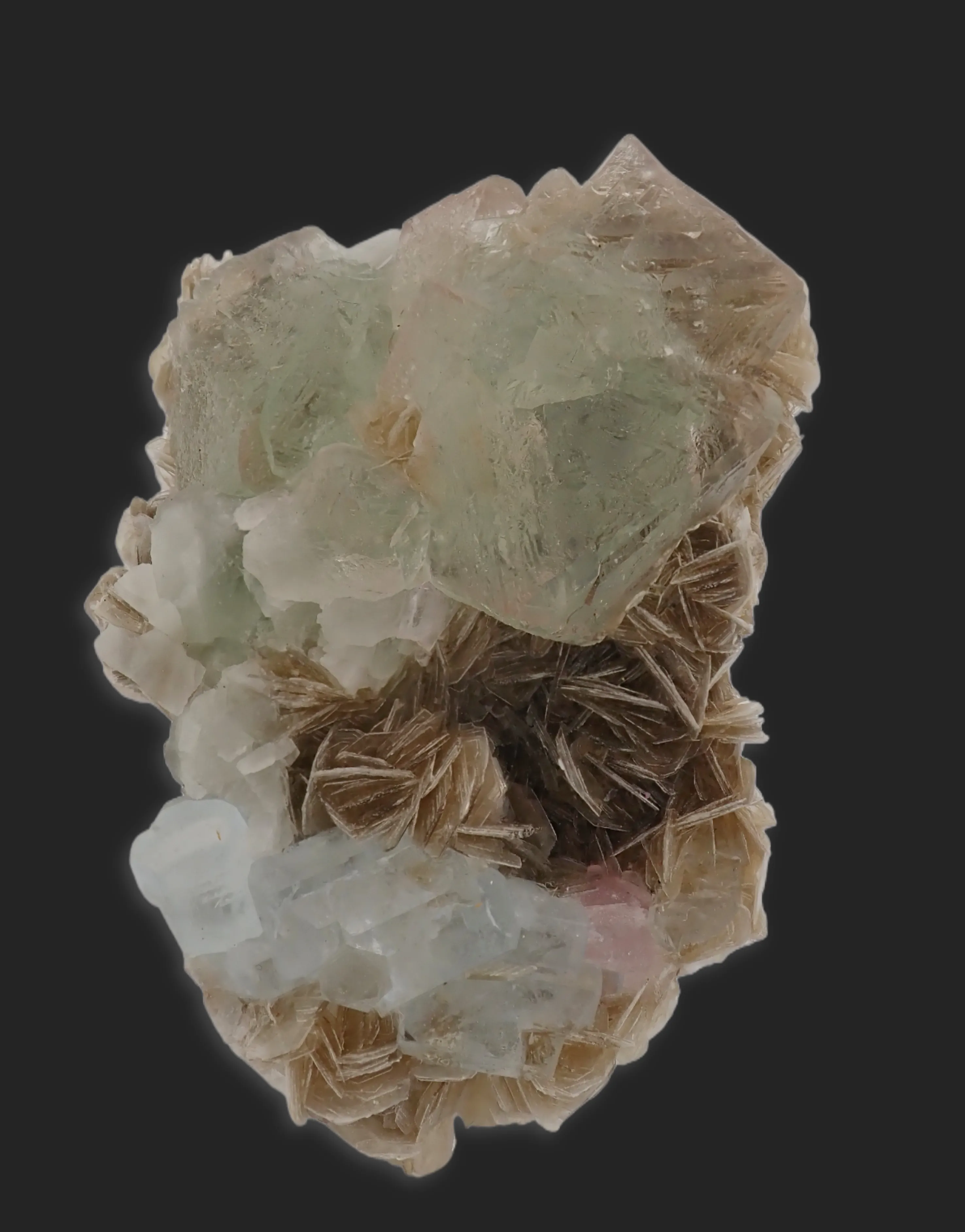 Fluorite with Aquamarine, Muscovite and pink Fluorapatite - image 3