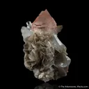 Fluorite with Aquamarine on Mica - image 6