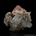 Fluorite with Aquamarine on Mica - image 5