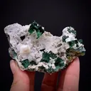 Fluorite with Aragonite - image 1