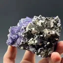 Fluorite with Arsenopyrite - image 3