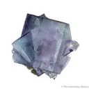 Fluorite with Arsenopyrite - image 2