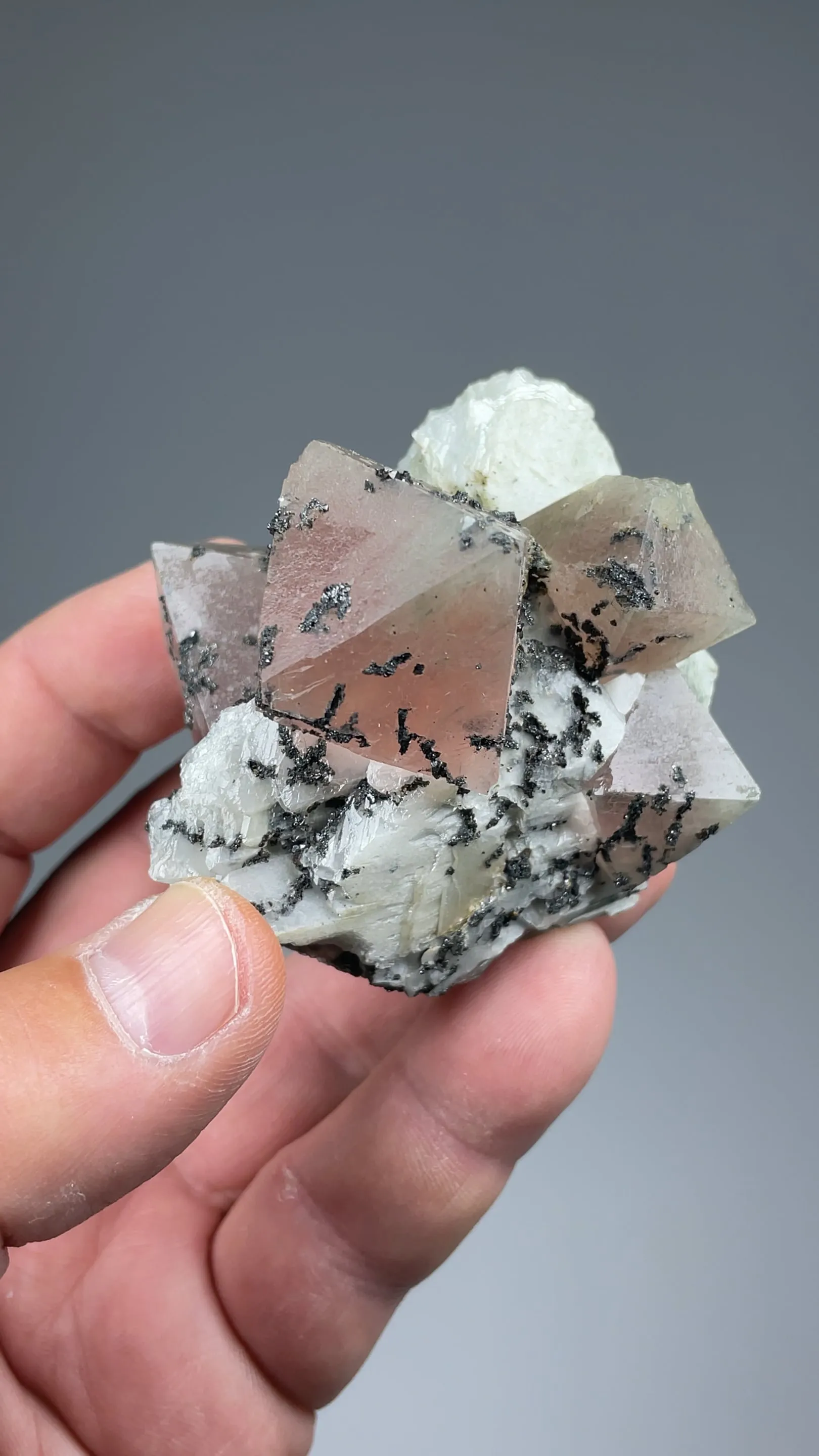 Fluorite with Arsenopyrite, Calcite - image 2