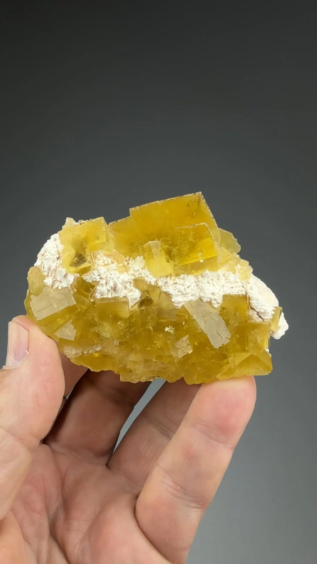 Fluorite with Barite - image 2