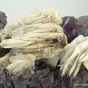 Fluorite With Barite - image 4