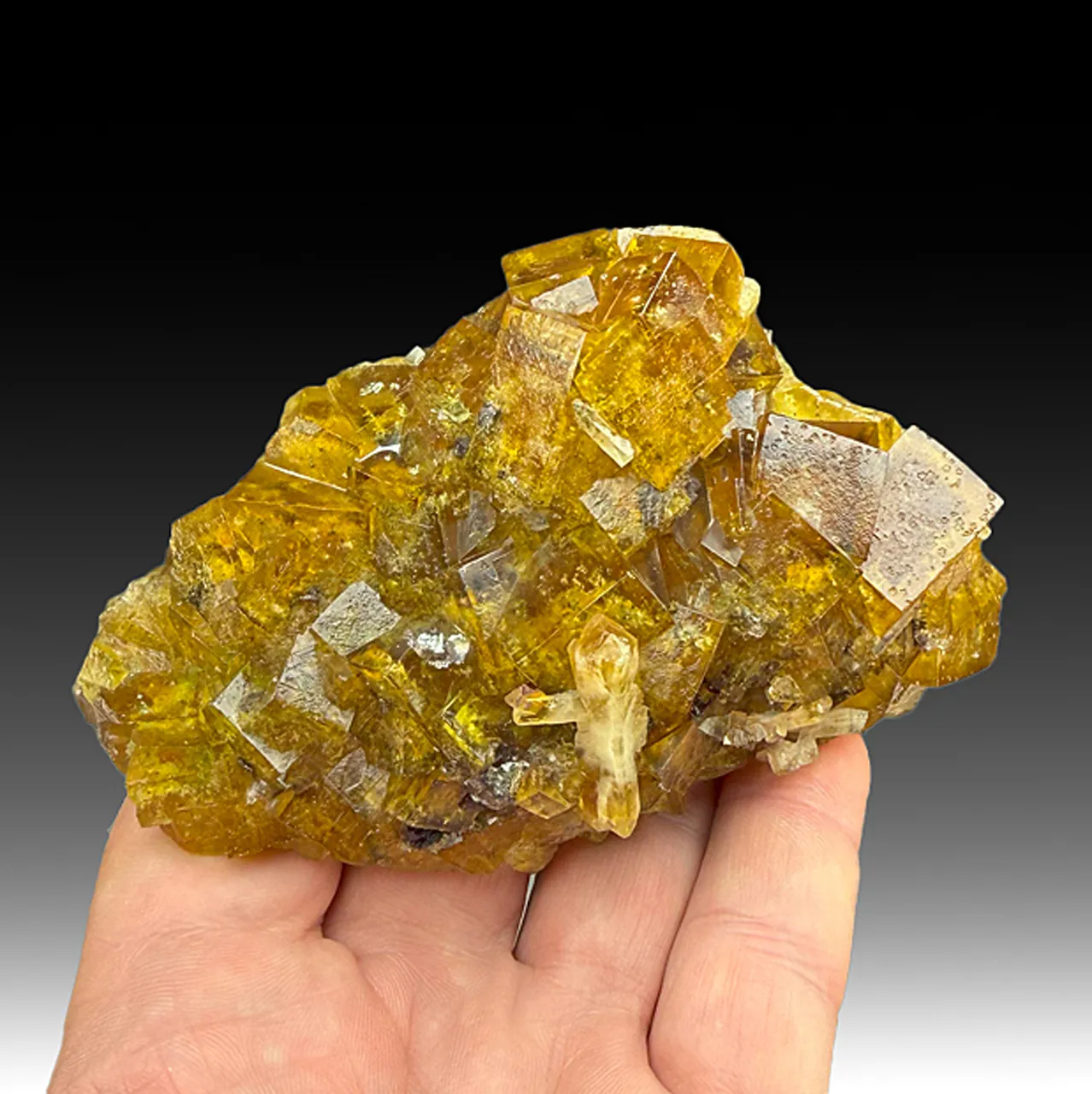 Fluorite with Barite - image 1