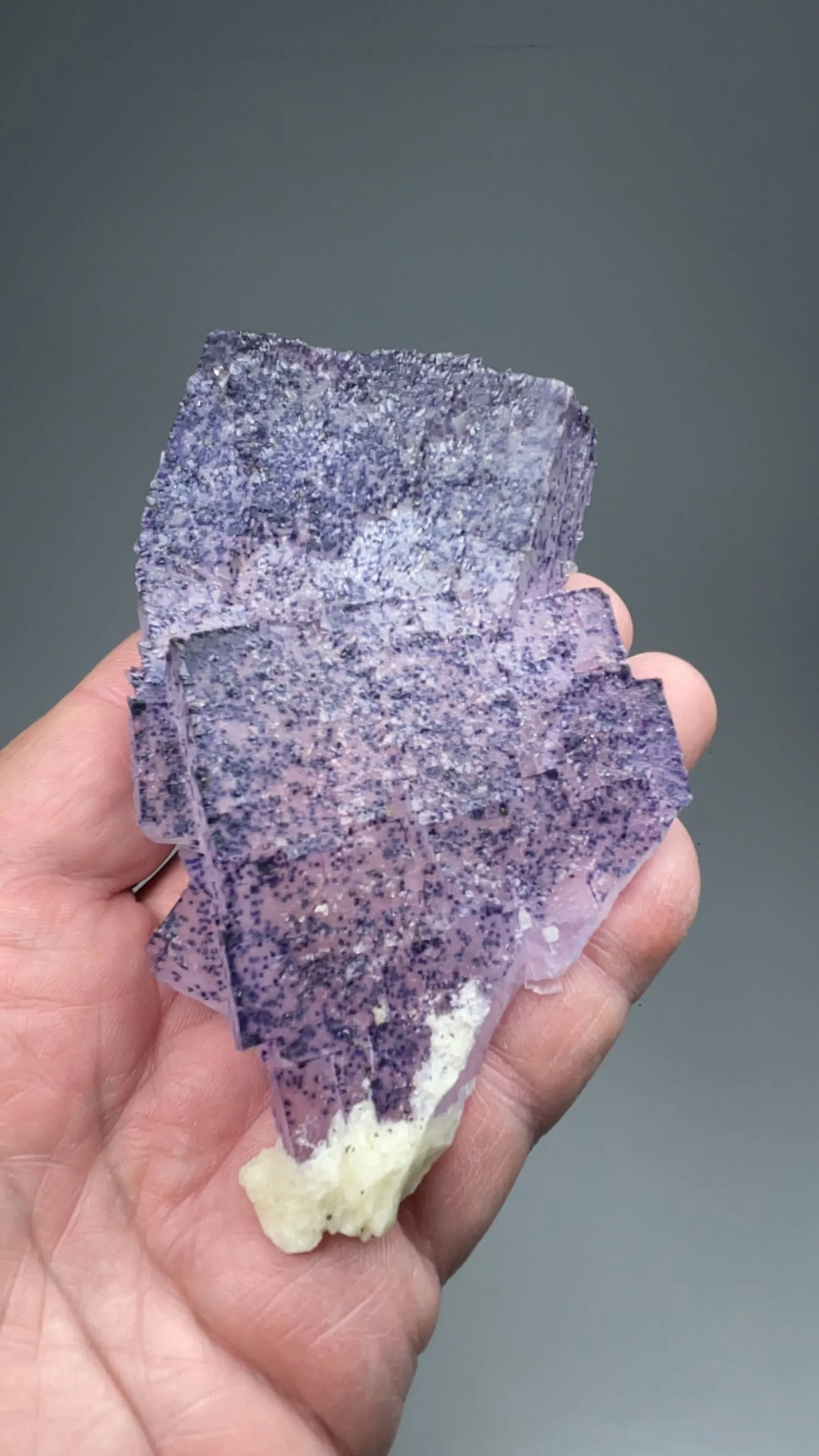 Fluorite with Barite - image 2