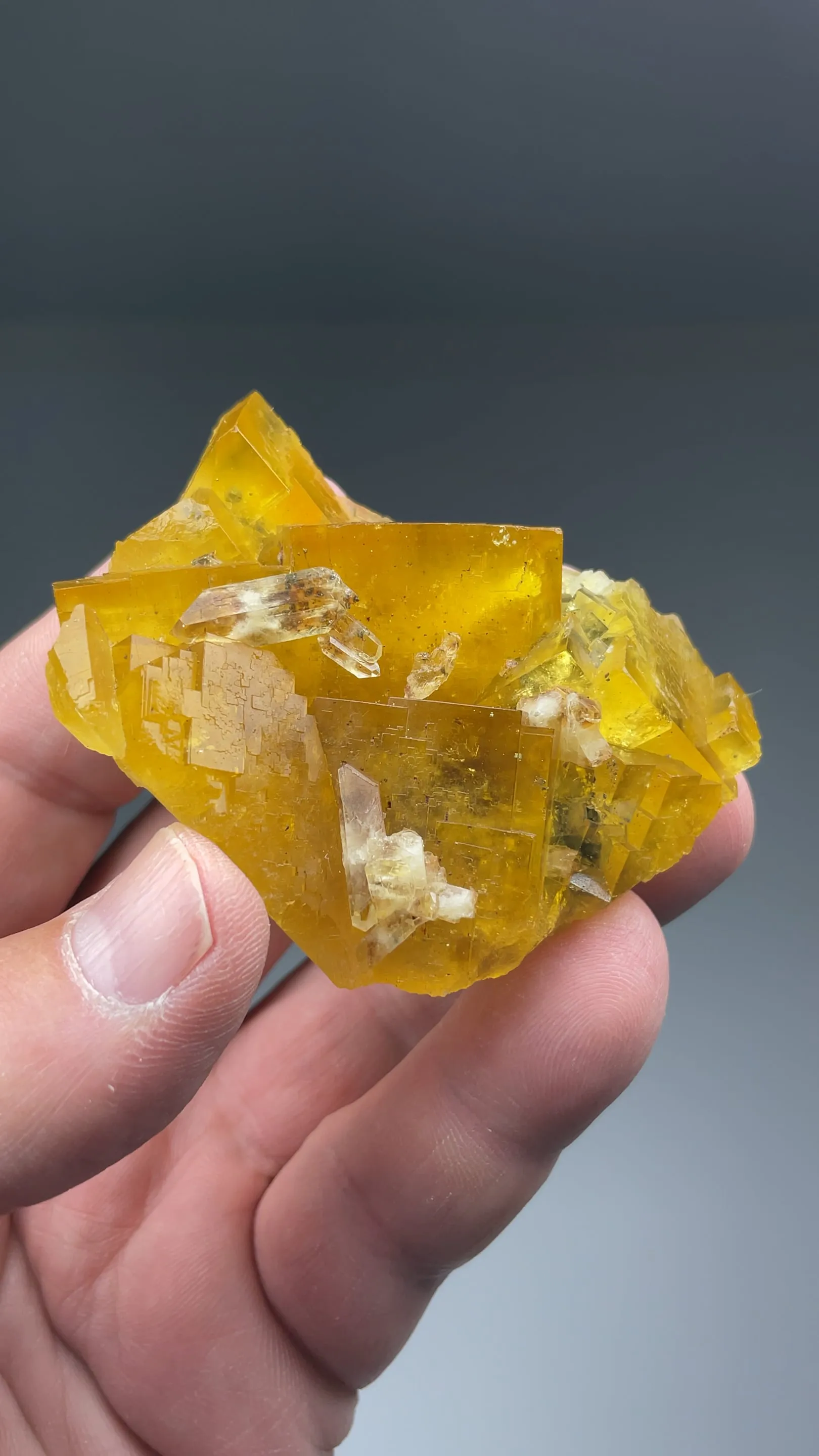 Fluorite with Barite - image 2