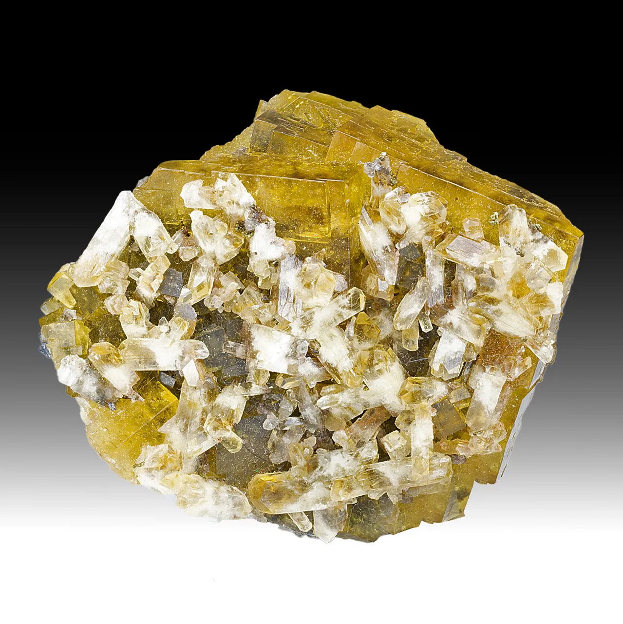 Fluorite with Barite - image 1