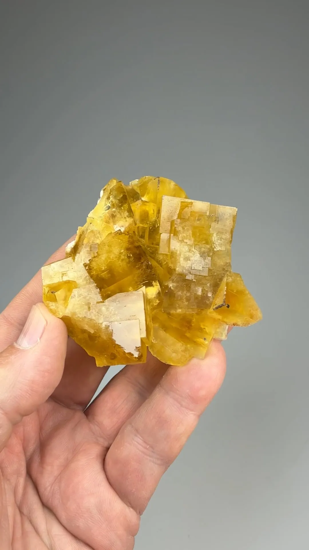 Fluorite with Barite - image 2