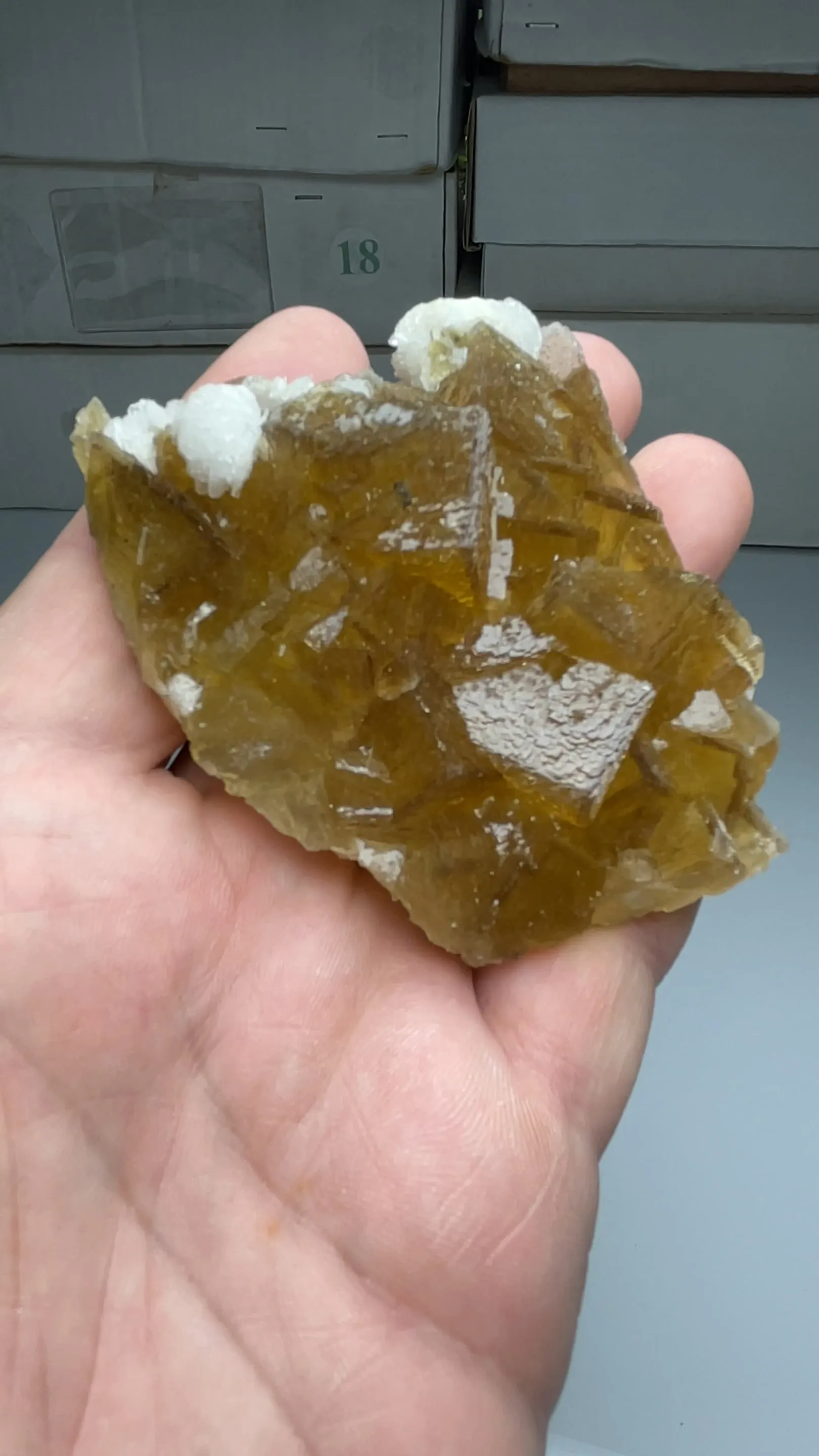 Fluorite with Barite - image 2