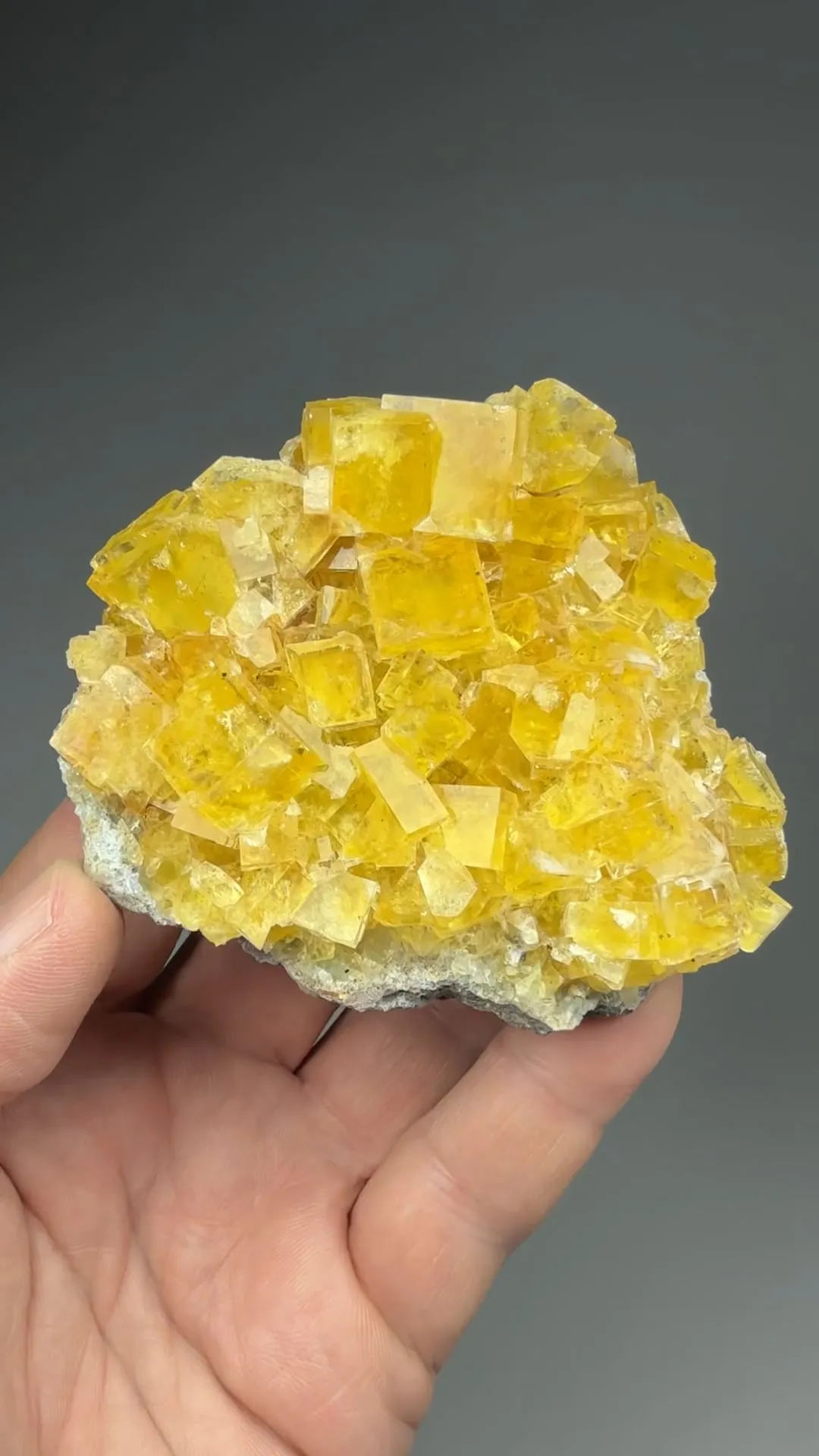 Fluorite with Barite - image 2