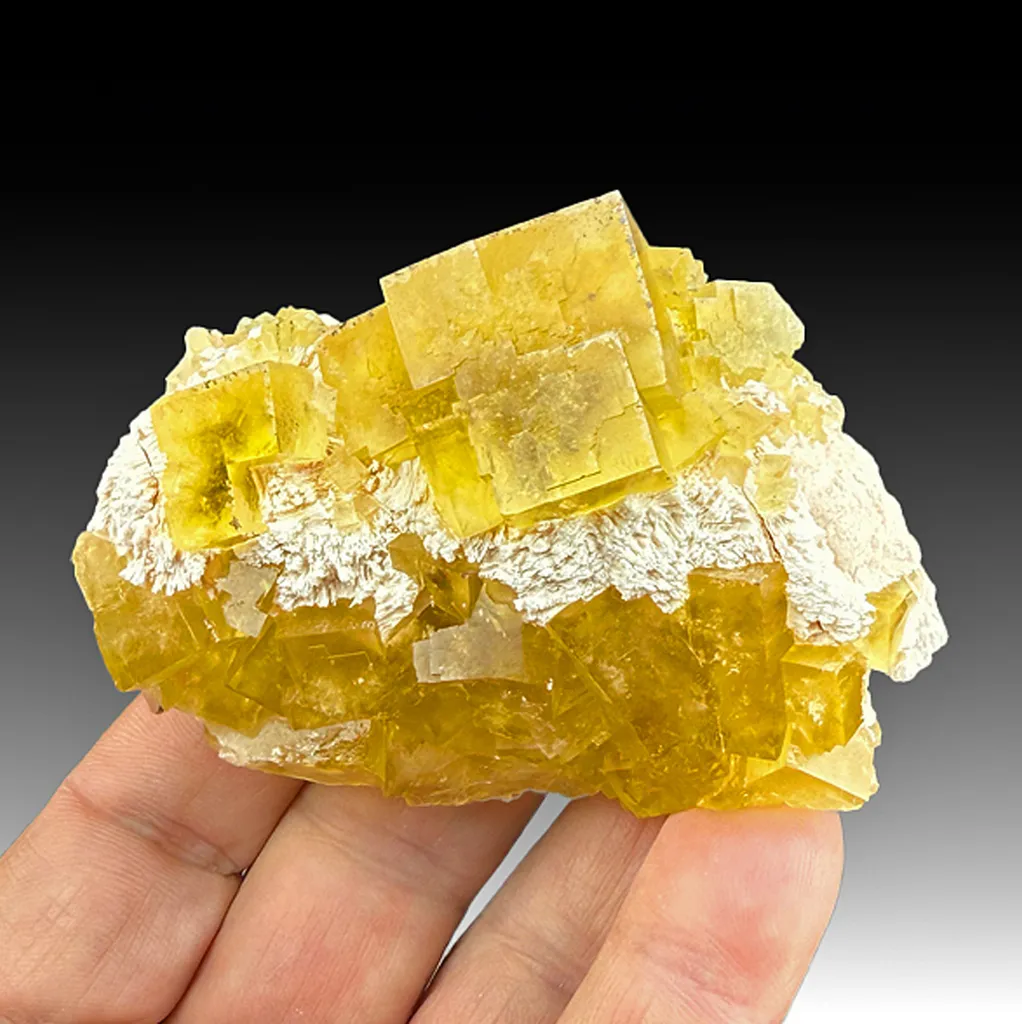 Fluorite with Barite image