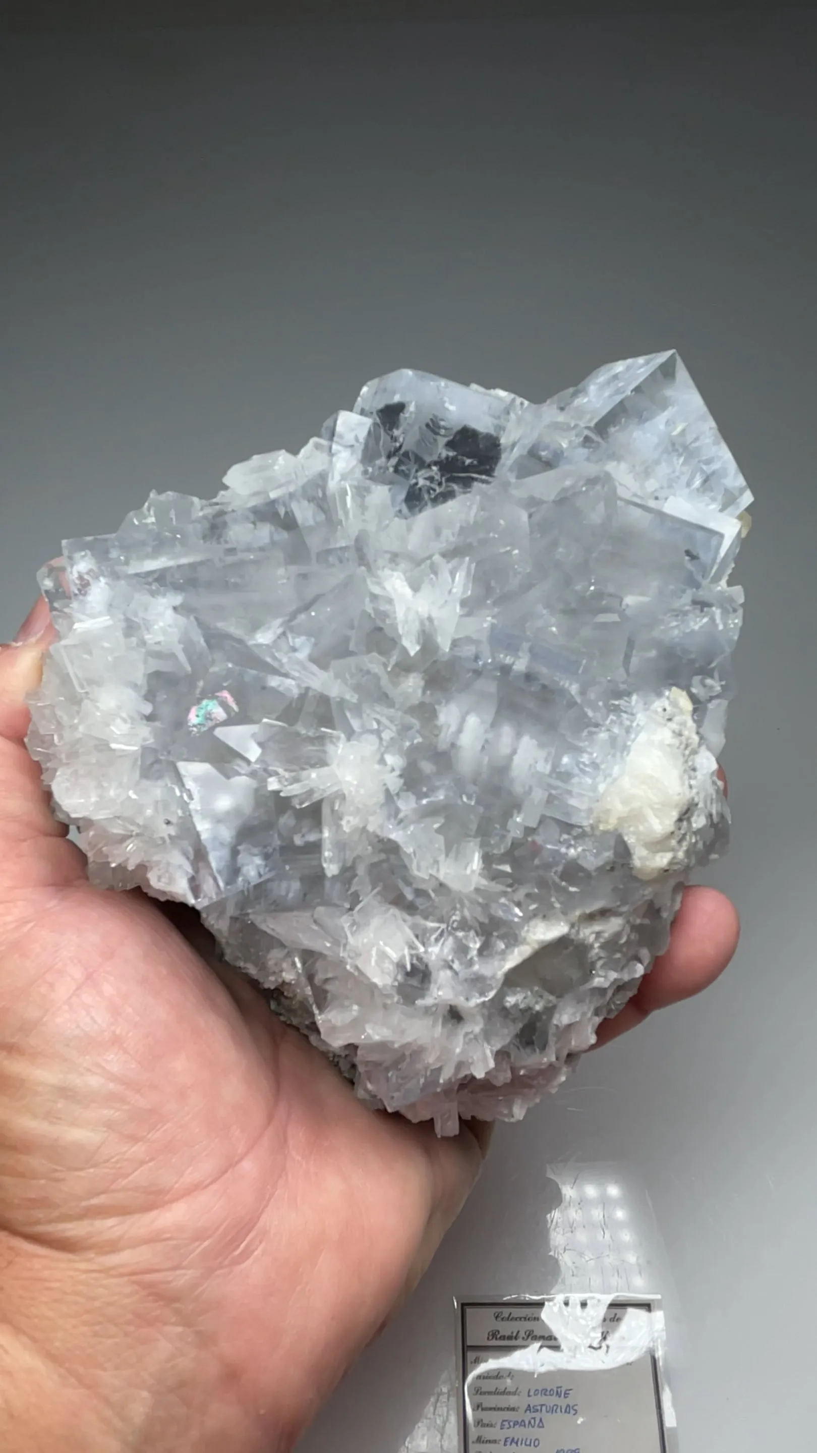 Fluorite with Barite - image 2