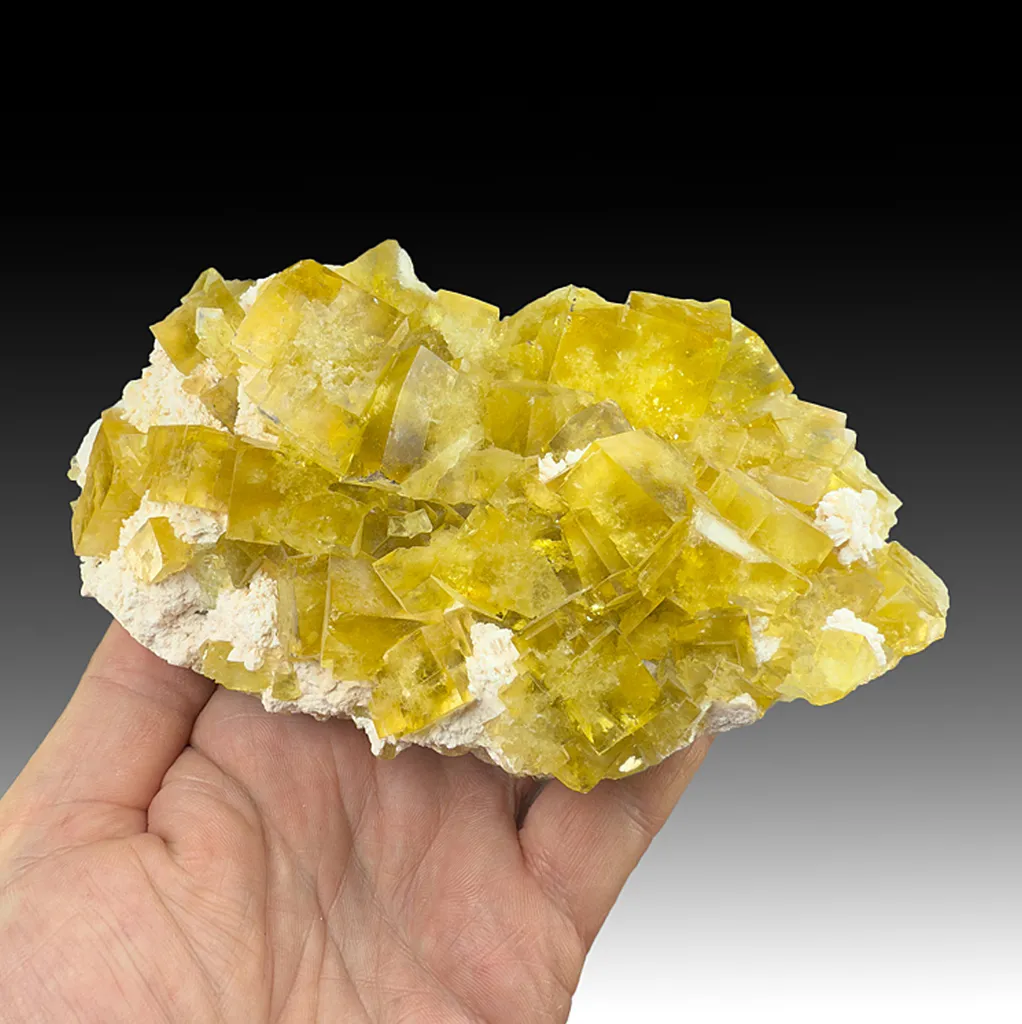 Fluorite with Barite image