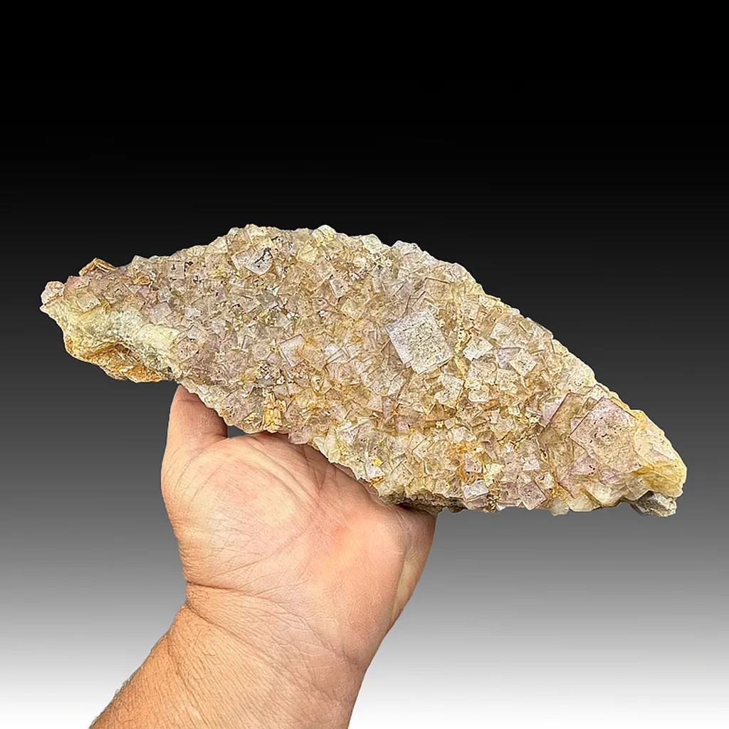 Fluorite with Barite image