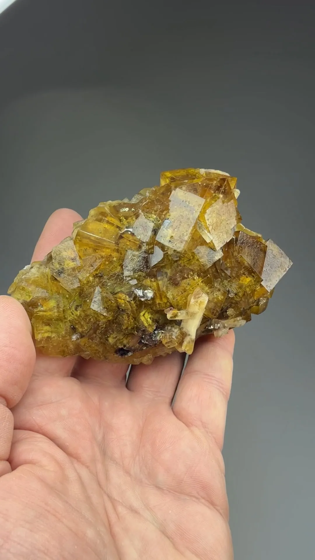 Fluorite with Barite - image 2