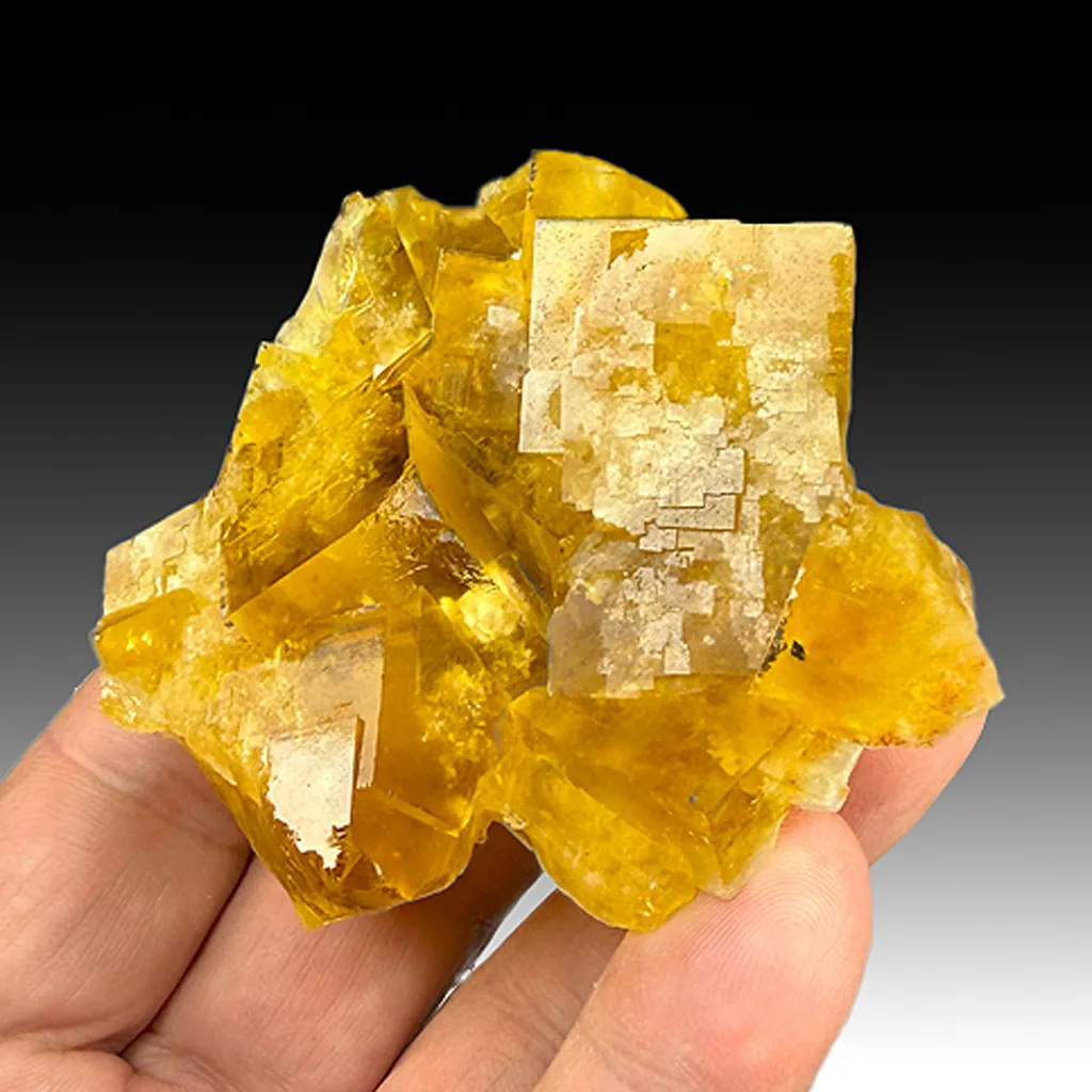 Fluorite with Barite image