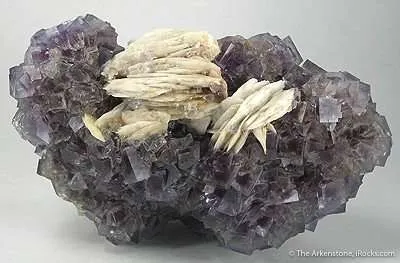 Fluorite With Barite - image 3