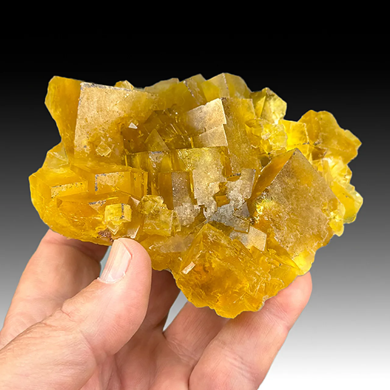 Fluorite with Barite - image 1