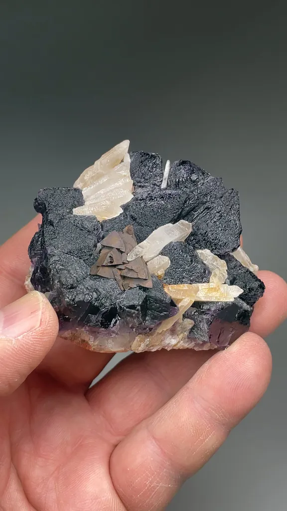 Fluorite with Barite - image 2