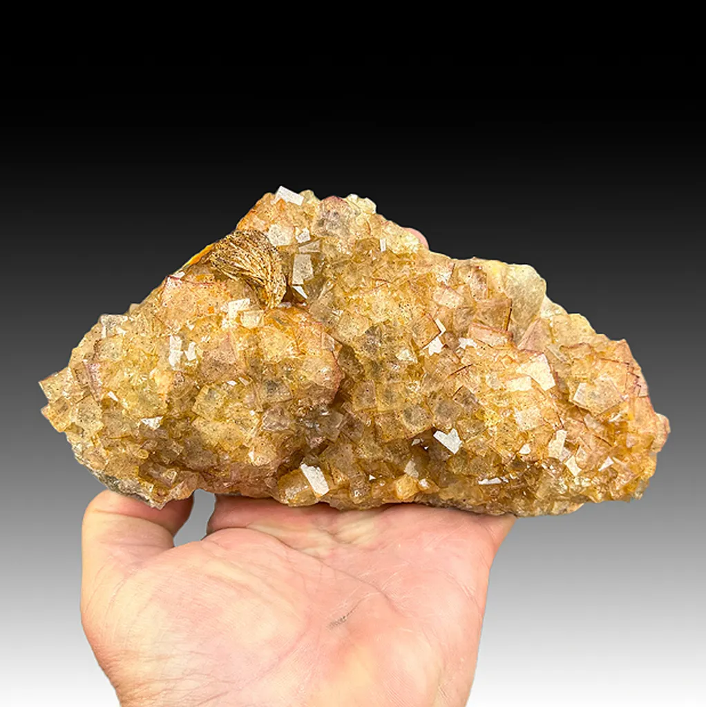 Fluorite with Barite image