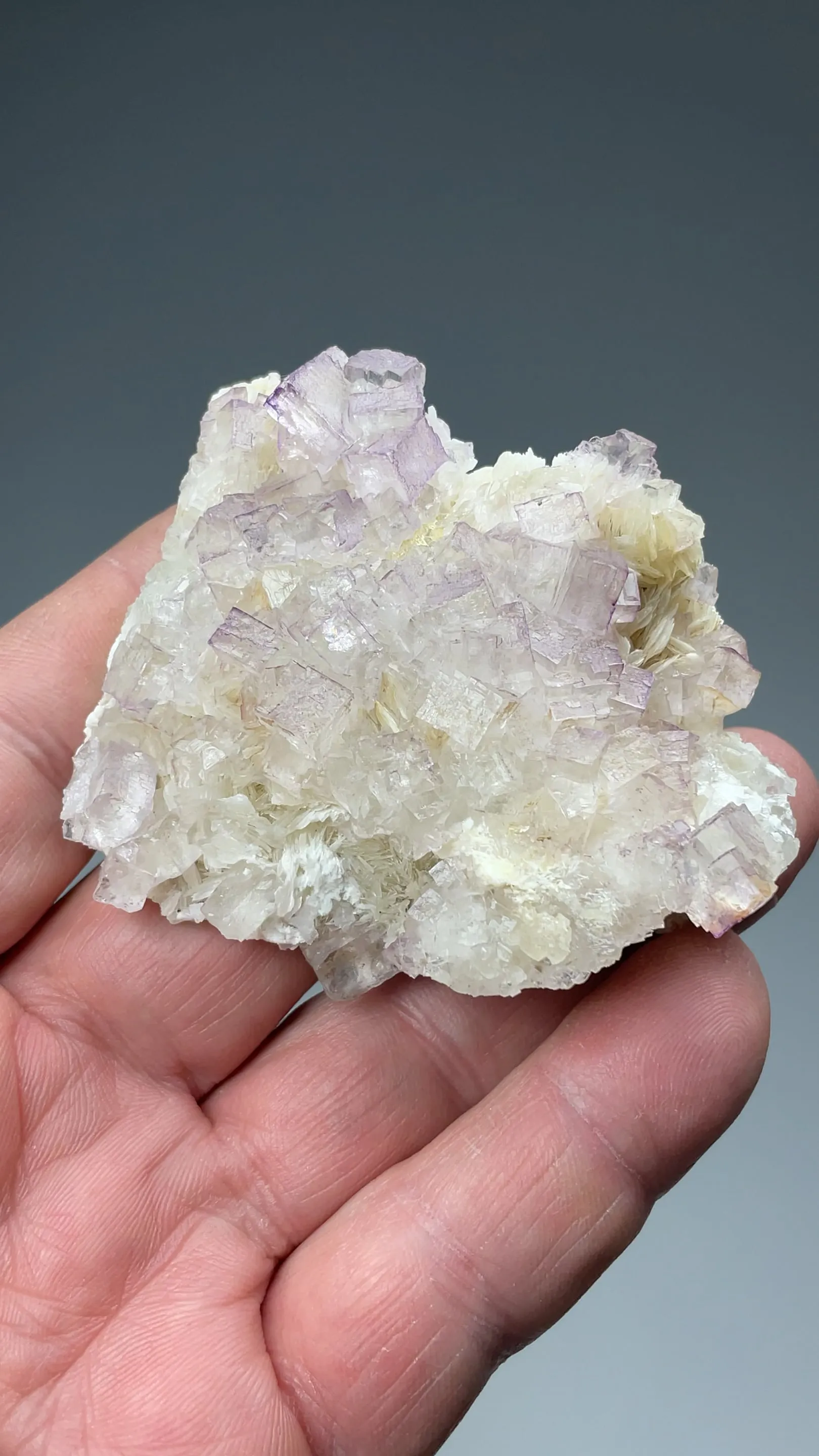 Fluorite with Barite - image 2