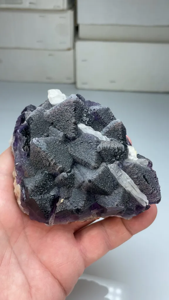 Fluorite with Barite - image 2