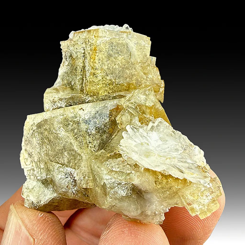 Fluorite with Barite image