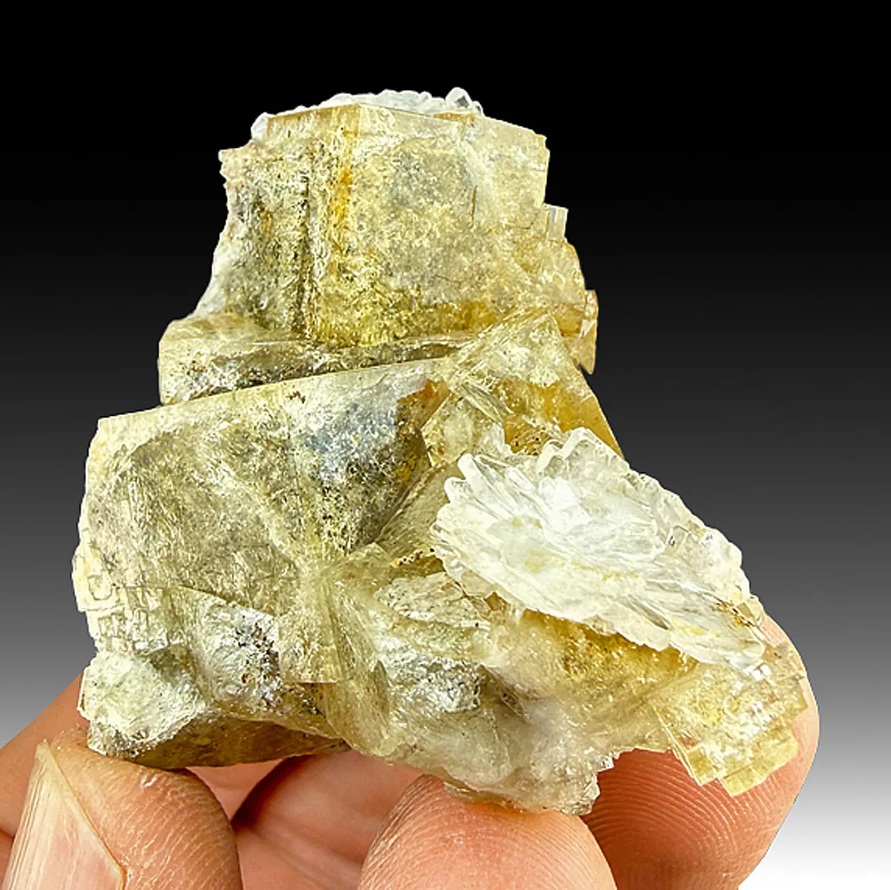 Fluorite with Barite - image 1