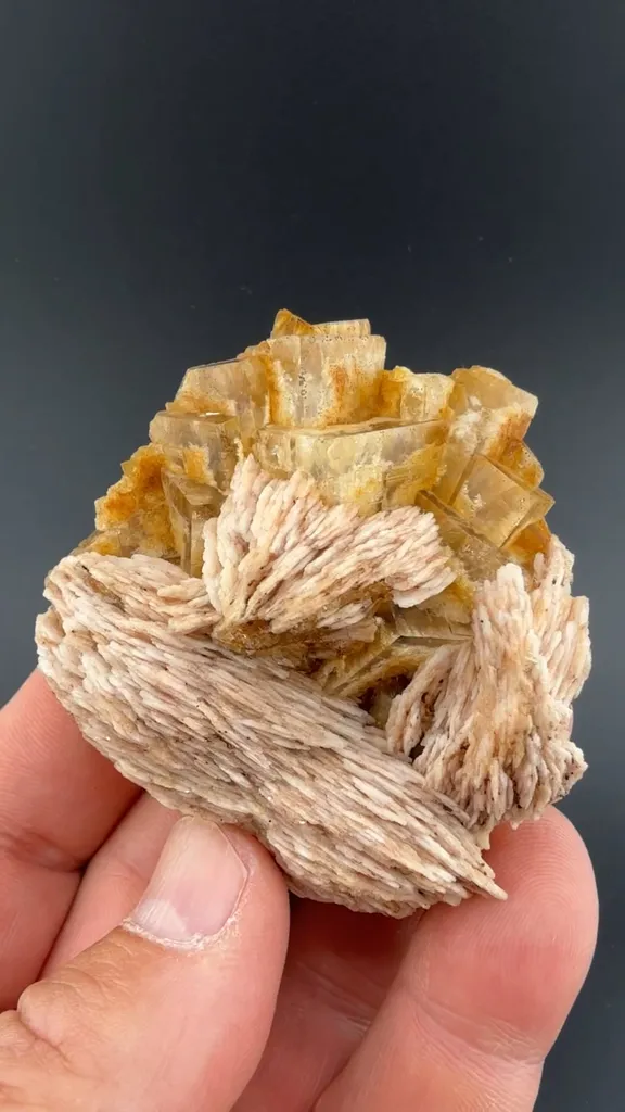 Fluorite with Barite image