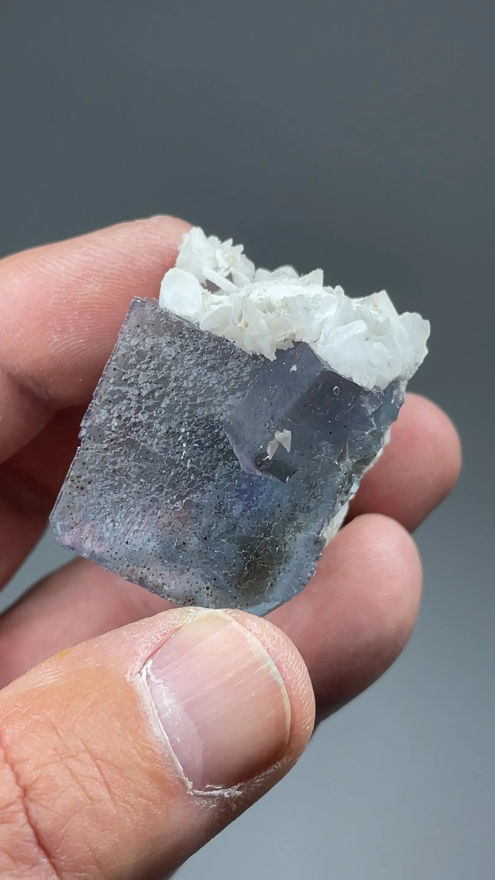 Fluorite with Barite - image 2