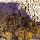 Fluorite with Barite (Petroleum-stained) - image 6