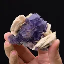 Fluorite with Baryte - image 2