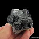 Fluorite with Baryte - image 2