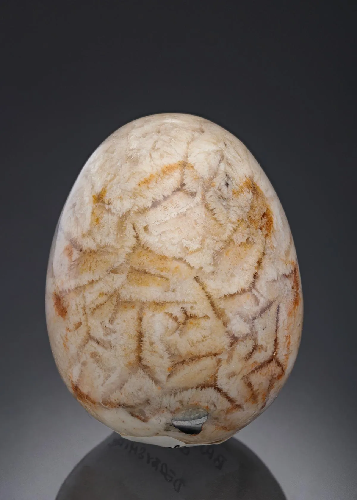 Fluorite with Baryte and Galena Polished Egg - image 1
