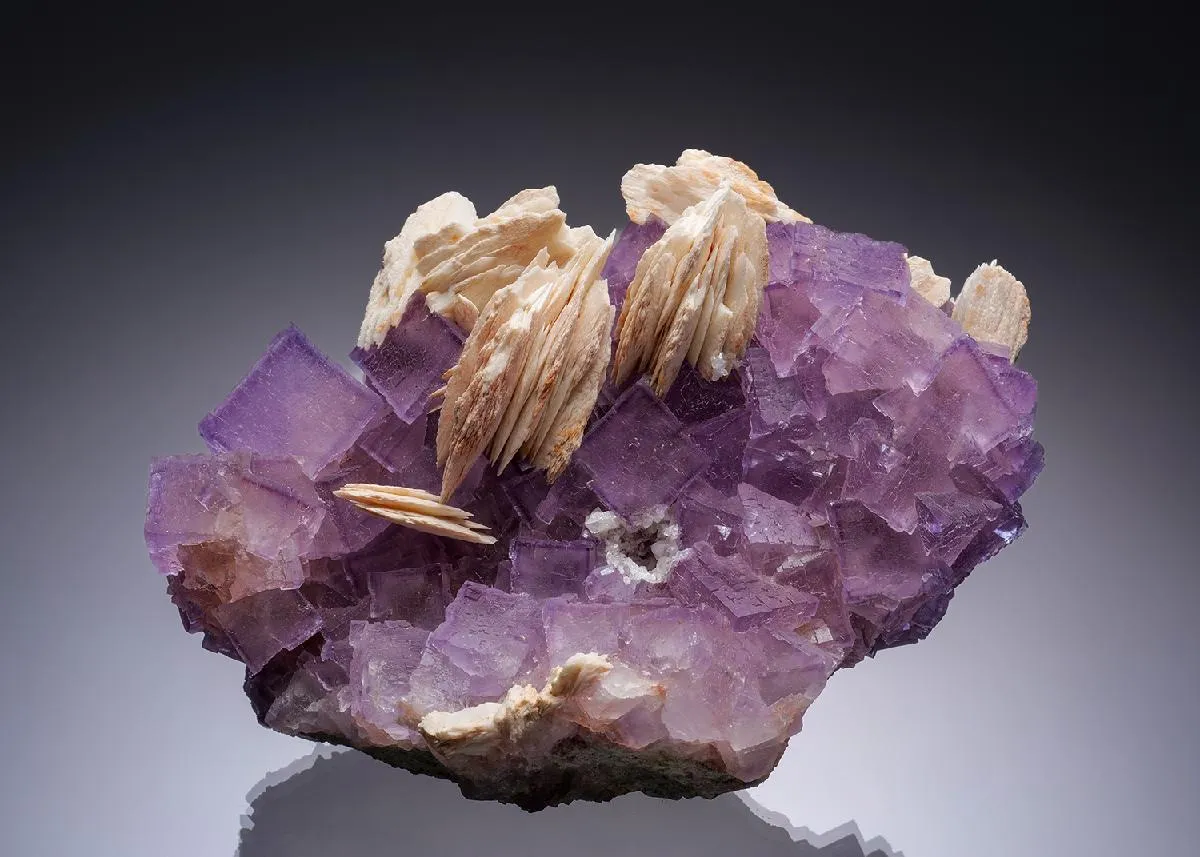 Fluorite with Baryte and Quartz - image 1
