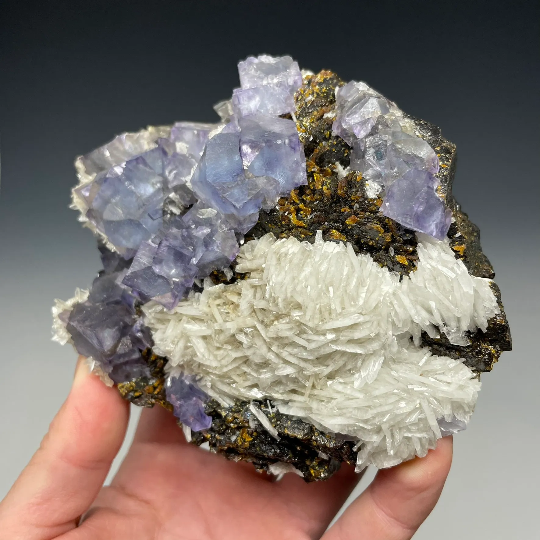 Fluorite with Baryte and Sphalerite Minerva No. 1 Mine - image 2