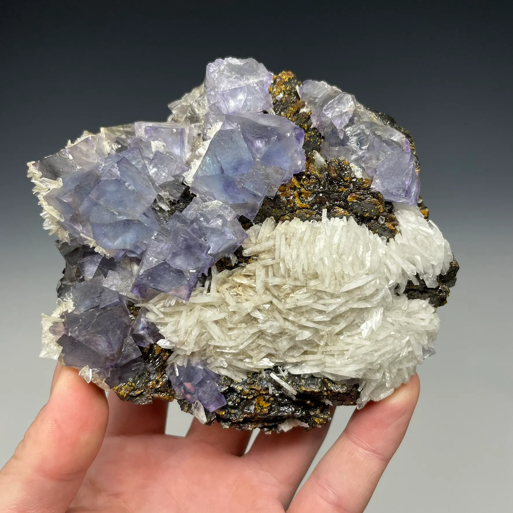 Fluorite with Baryte and Sphalerite Minerva No. 1 Mine - image 4