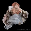 Fluorite with Beryl var. Aquamarine, Muscovite and Albite - image 6