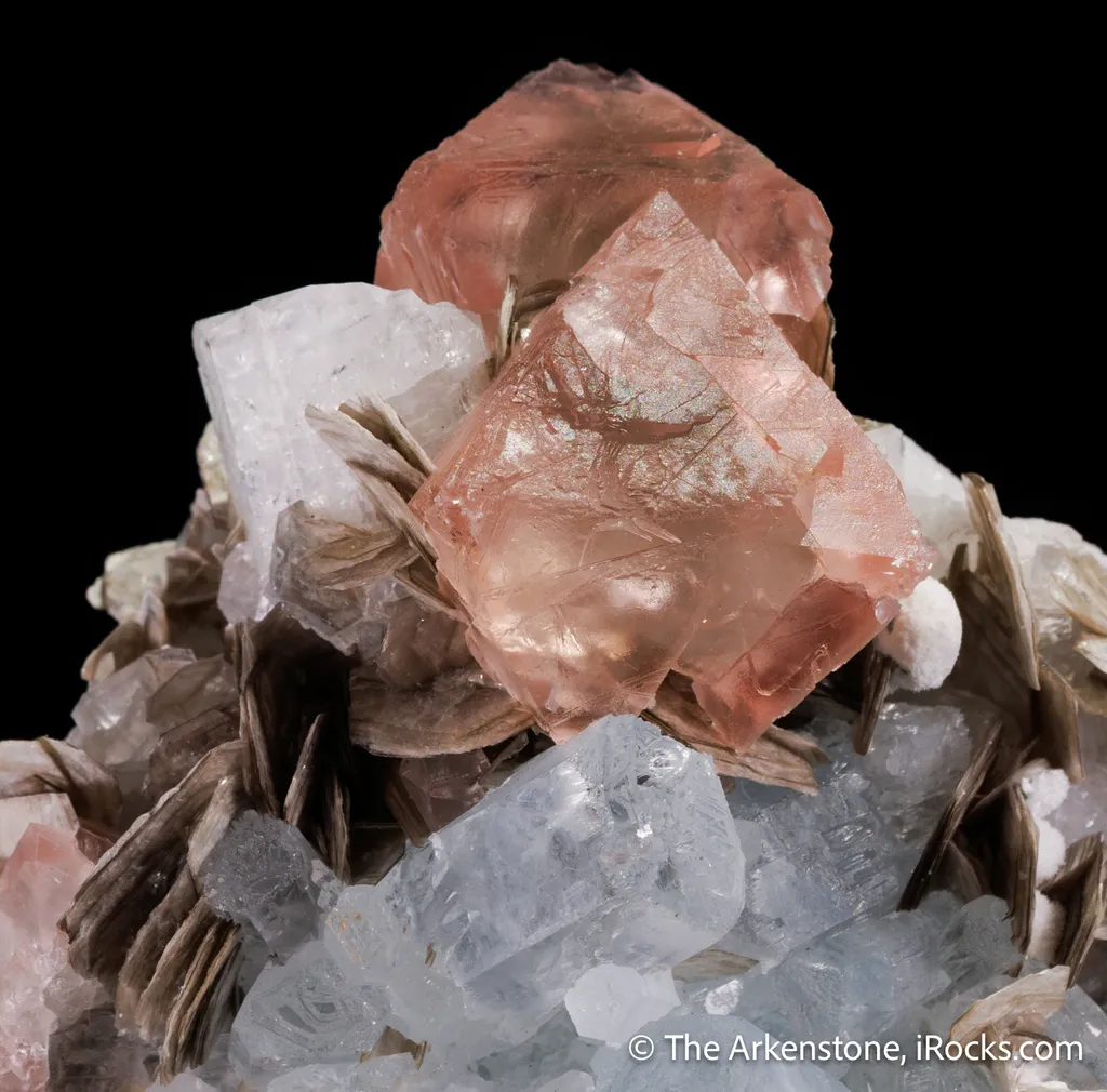 Fluorite with Beryl var. Aquamarine, Muscovite and Albite image