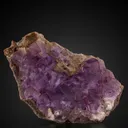Fluorite with Bracciopod - image 1