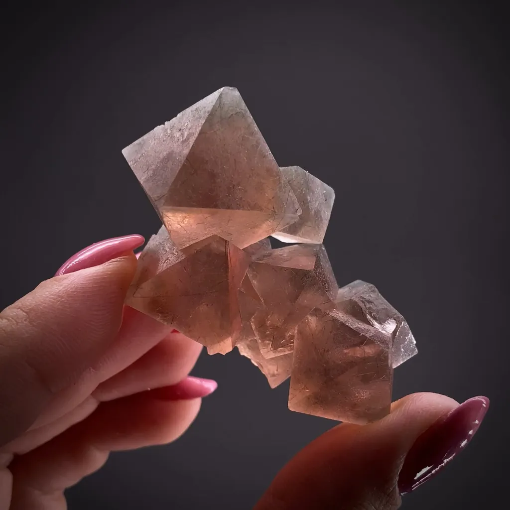 Fluorite with Byssolite inclusions image