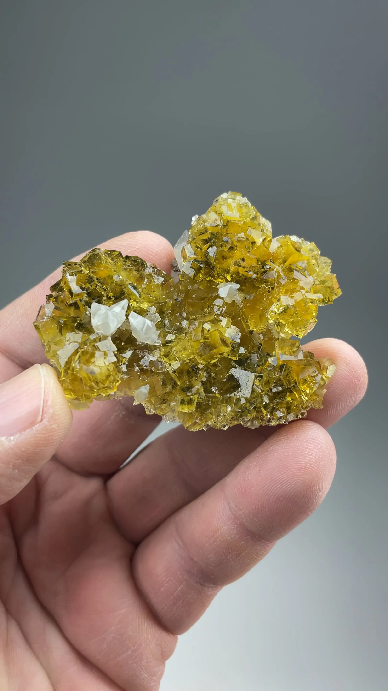 Fluorite with Calcite - image 2